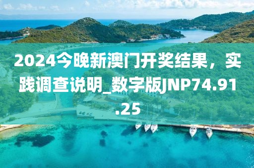 2024今晚新澳门开奖结果，实践调查说明_数字版JNP74.91.25