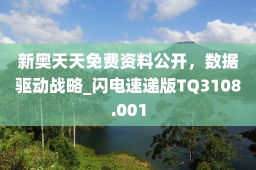 新奥天天免费资料公开，数据驱动战略_闪电速递版TQ3108.001