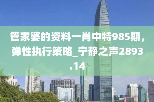 管家婆的资料一肖中特985期，弹性执行策略_宁静之声2893.14