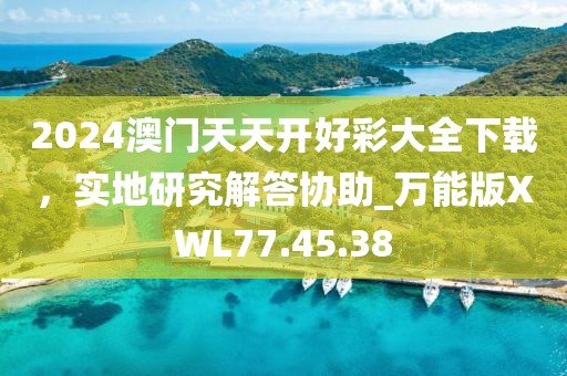 2024澳门天天开好彩大全下载，实地研究解答协助_万能版XWL77.45.38