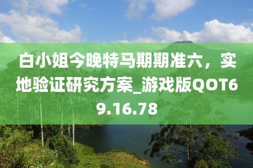白小姐今晚特马期期准六，实地验证研究方案_游戏版QOT69.16.78