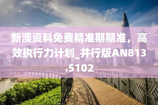 新澳资料免费精准期期准，高效执行力计划_并行版AN813.5102