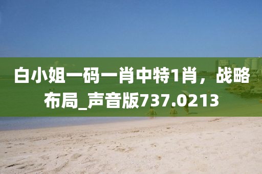 白小姐一码一肖中特1肖，战略布局_声音版737.0213