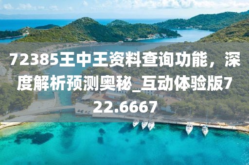 72385王中王资料查询功能，深度解析预测奥秘_互动体验版722.6667
