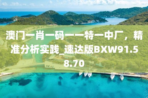 澳门一肖一码一一特一中厂，精准分析实践_速达版BXW91.58.70