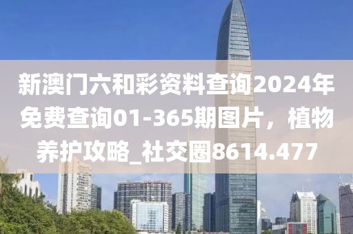 新澳门六和彩资料查询2024年免费查询01-365期图片，植物养护攻略_社交圈8614.477