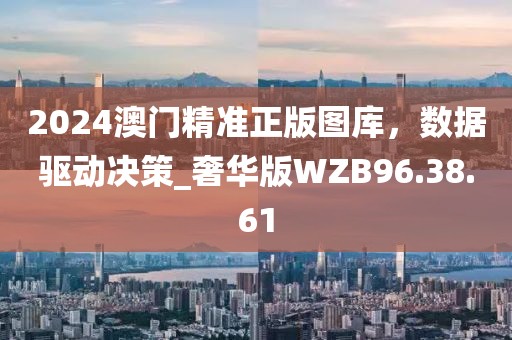 2024澳门精准正版图库，数据驱动决策_奢华版WZB96.38.61