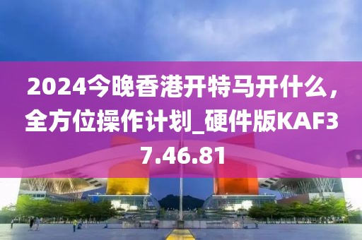 2024今晚香港开特马开什么，全方位操作计划_硬件版KAF37.46.81