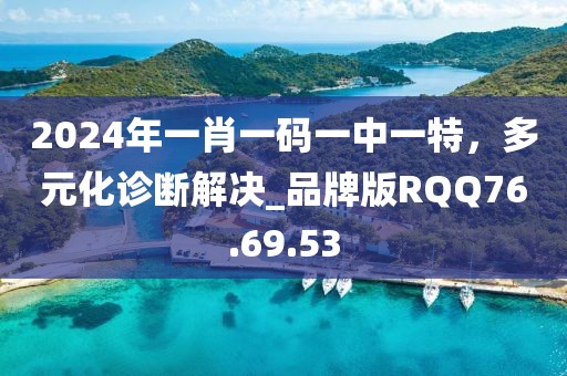 2024年一肖一码一中一特，多元化诊断解决_品牌版RQQ76.69.53