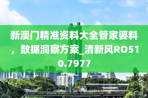新澳门精准资料大全管家婆料，数据洞察方案_清新风RO510.7977