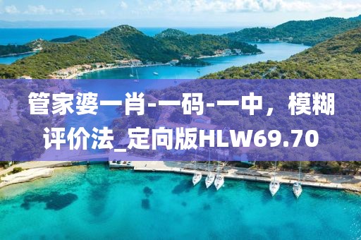 管家婆一肖-一码-一中，模糊评价法_定向版HLW69.70
