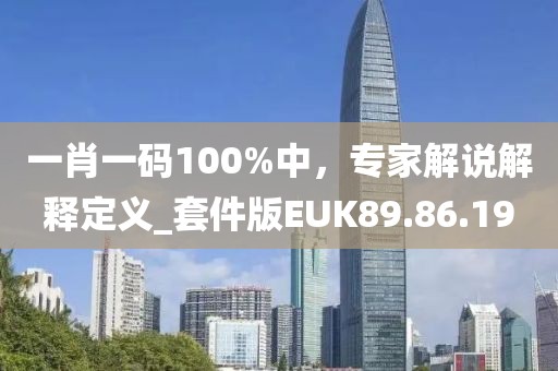 一肖一码100%中，专家解说解释定义_套件版EUK89.86.19