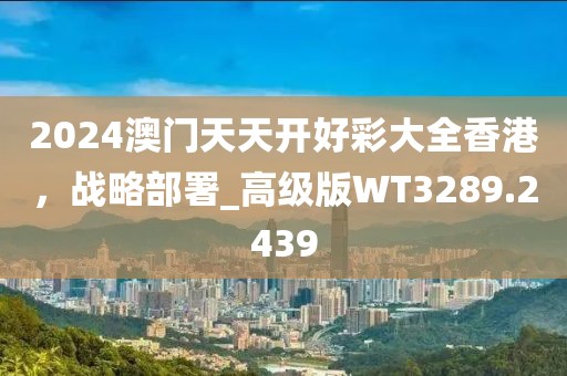 2024澳门天天开好彩大全香港，战略部署_高级版WT3289.2439