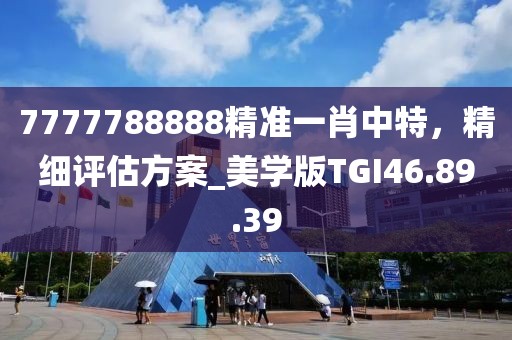 7777788888精准一肖中特，精细评估方案_美学版TGI46.89.39
