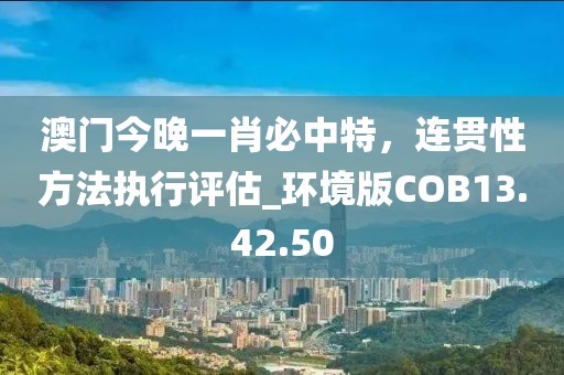 澳门今晚一肖必中特，连贯性方法执行评估_环境版COB13.42.50