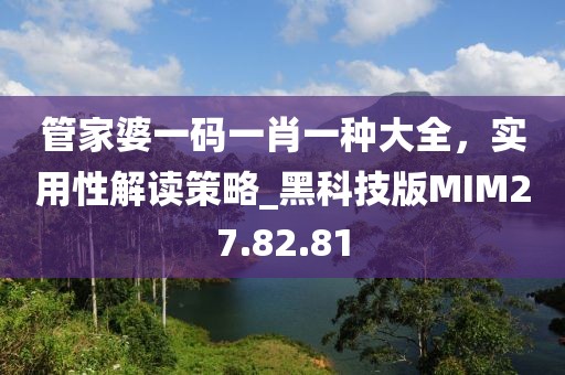 管家婆一码一肖一种大全，实用性解读策略_黑科技版MIM27.82.81
