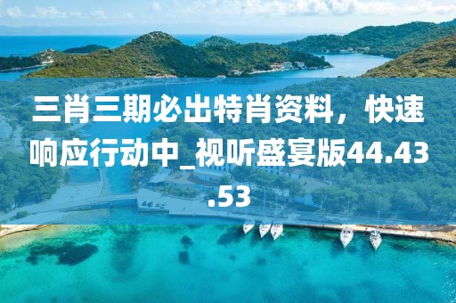 三肖三期必出特肖资料，快速响应行动中_视听盛宴版44.43.53