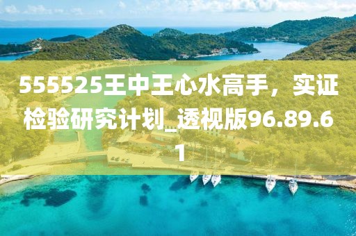 555525王中王心水高手，实证检验研究计划_透视版96.89.61