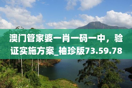 澳门管家婆一肖一码一中，验证实施方案_袖珍版73.59.78