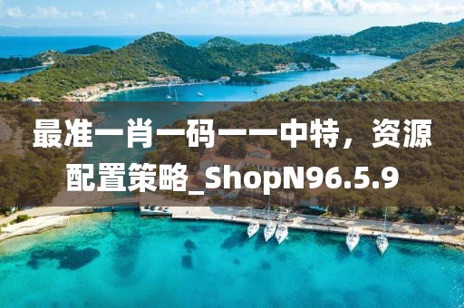 最准一肖一码一一中特，资源配置策略_ShopN96.5.9