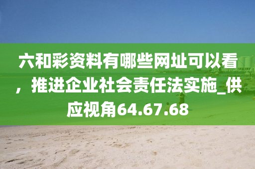 六和彩资料有哪些网址可以看，推进企业社会责任法实施_供应视角64.67.68