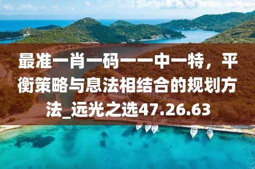 最准一肖一码一一中一特，平衡策略与息法相结合的规划方法_远光之选47.26.63