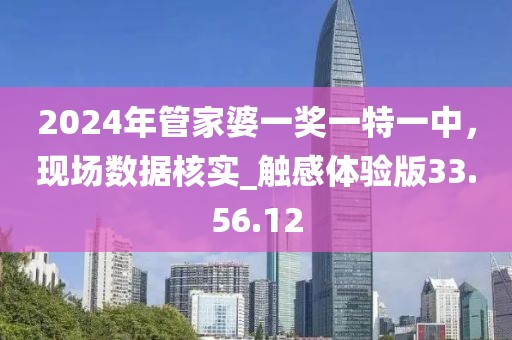 2024年管家婆一奖一特一中，现场数据核实_触感体验版33.56.12