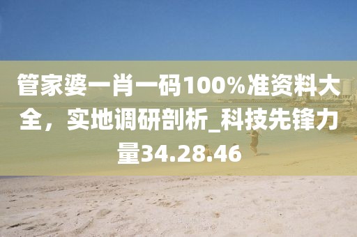 管家婆一肖一码100%准资料大全，实地调研剖析_科技先锋力量34.28.46