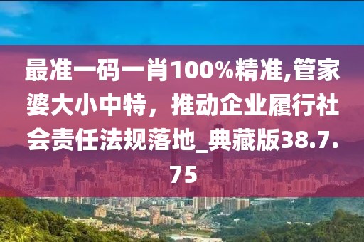 最准一码一肖100%精准,管家婆大小中特，推动企业履行社会责任法规落地_典藏版38.7.75