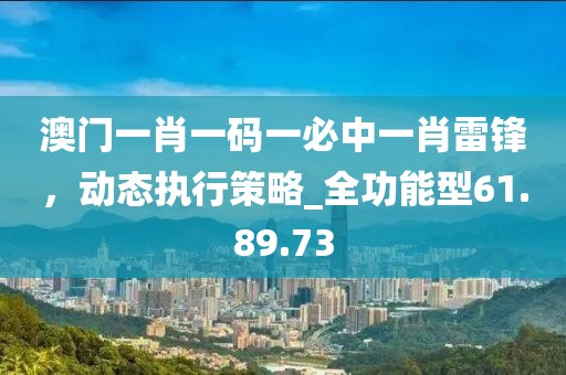 澳门一肖一码一必中一肖雷锋，动态执行策略_全功能型61.89.73