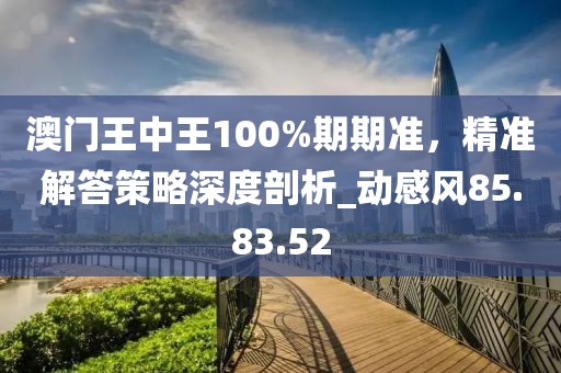 澳门王中王100%期期准，精准解答策略深度剖析_动感风85.83.52