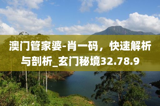 澳门管家婆-肖一码，快速解析与剖析_玄门秘境32.78.9