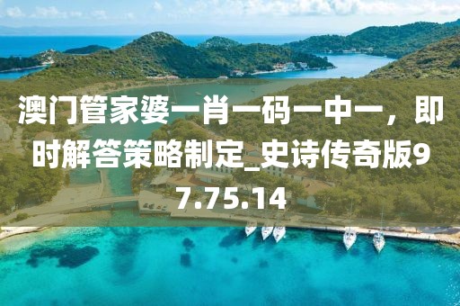 澳门管家婆一肖一码一中一，即时解答策略制定_史诗传奇版97.75.14