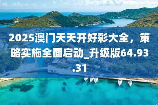 2025澳门天天开好彩大全，策略实施全面启动_升级版64.93.31