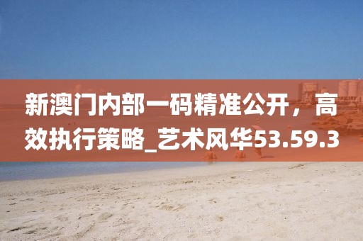 新澳门内部一码精准公开，高效执行策略_艺术风华53.59.30