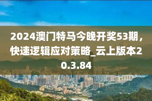 2024澳门特马今晚开奖53期，快速逻辑应对策略_云上版本20.3.84