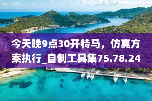 今天晚9点30开特马，仿真方案执行_自制工具集75.78.24