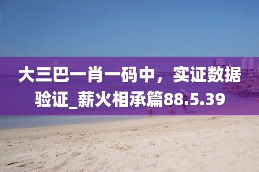 大三巴一肖一码中，实证数据验证_薪火相承篇88.5.39