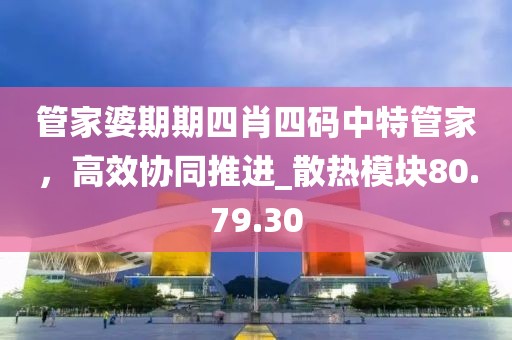 管家婆期期四肖四码中特管家，高效协同推进_散热模块80.79.30