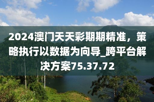 2024澳门天天彩期期精准，策略执行以数据为向导_跨平台解决方案75.37.72