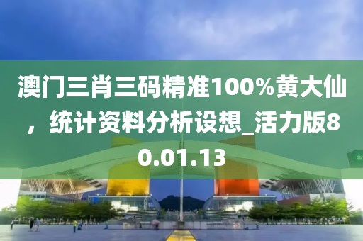 澳门三肖三码精准100%黄大仙，统计资料分析设想_活力版80.01.13