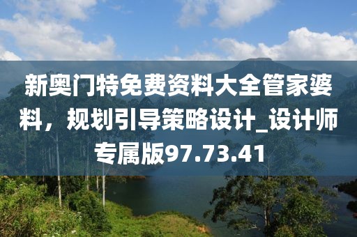 新奥门特免费资料大全管家婆料，规划引导策略设计_设计师专属版97.73.41