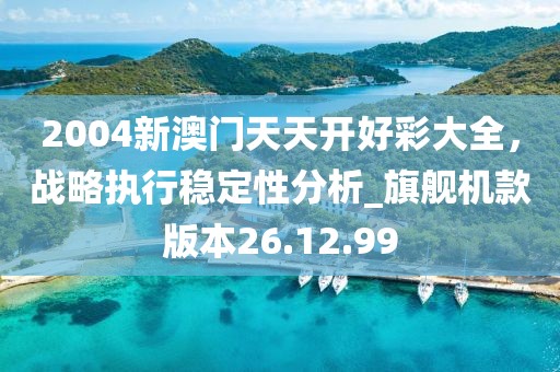2004新澳门天天开好彩大全，战略执行稳定性分析_旗舰机款版本26.12.99