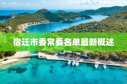 宿迁市委常委名单最新概述