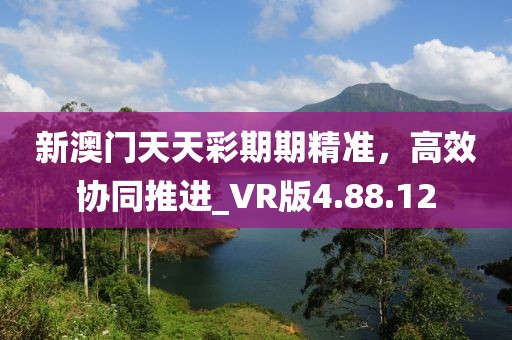 新澳门天天彩期期精准，高效协同推进_VR版4.88.12