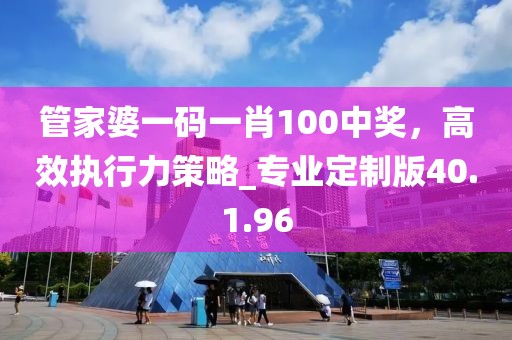 管家婆一码一肖100中奖，高效执行力策略_专业定制版40.1.96