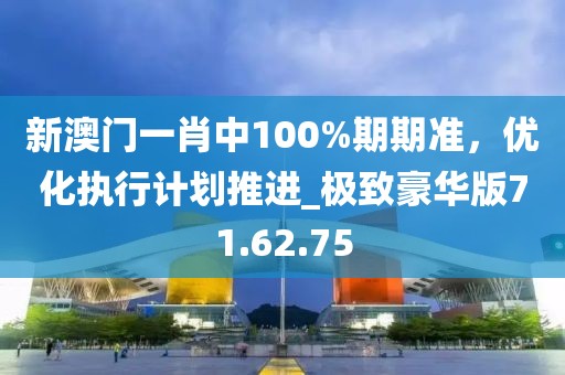 新澳门一肖中100%期期准，优化执行计划推进_极致豪华版71.62.75