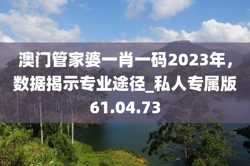 澳门管家婆一肖一码2023年，数据揭示专业途径_私人专属版61.04.73