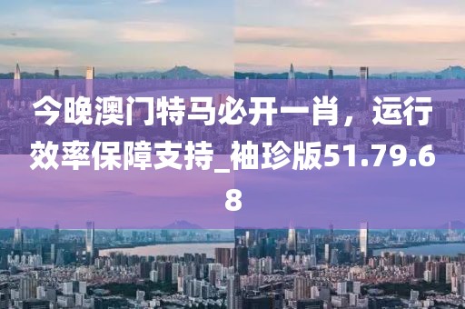 今晚澳门特马必开一肖，运行效率保障支持_袖珍版51.79.68