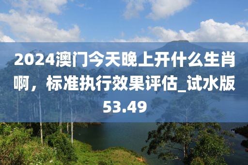 2024澳门今天晚上开什么生肖啊，标准执行效果评估_试水版53.49
